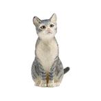 Schleich - Speelfiguur kat - zittend, Nieuw