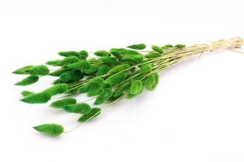 Lagurus ovatus pluimgras graspluimen in hoes donkergroen 60, Huis en Inrichting, Woonaccessoires | Kunstplanten en Kunstbloemen