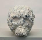 E.J. Vaandering - MR. WHITE Skull mixed media sculpture