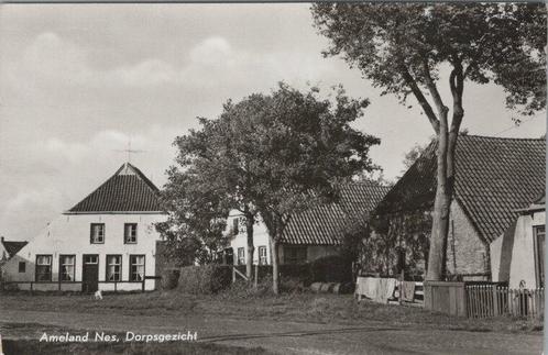 AMELAND NES - Dorpsgezicht, Verzamelen, Ansichtkaarten | Nederland, Verzenden