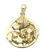 Gouden Labrador retriever in rond kettinghanger, Verzenden, Nieuw