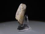 Europa Vuursteen gereedschap. 5,3 cm H. Neolithicum, 6000 -