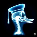 Chroma-xx - Donald Duck - La Radiographie de lHumour