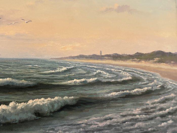 Ron Meilof (1953-2016) - Zeegezicht met vogels voor de kust, Antiek en Kunst, Kunst | Schilderijen | Klassiek