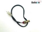 Lambda Sonde Cagiva Raptor 1000 2000-2005 M200