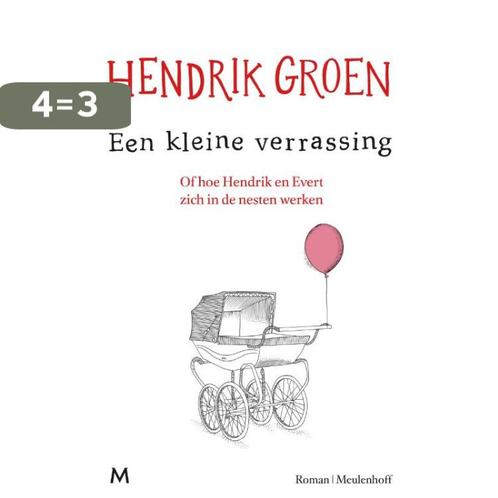 Een kleine verrassing 9789029093101 Hendrik Groen, Boeken, Romans, Gelezen, Verzenden