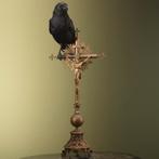 Kraai op Kruis Taxidermie Opgezette Dieren By Max, Ophalen of Verzenden, Nieuw, Vogel, Opgezet dier