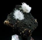 Aragoniet op lava -Gergovie, Limagne, Auvergne, Frankrijk -