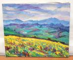 Juan Mendoza Marruedo (1929) - Paisaje colorista - NO, Antiek en Kunst