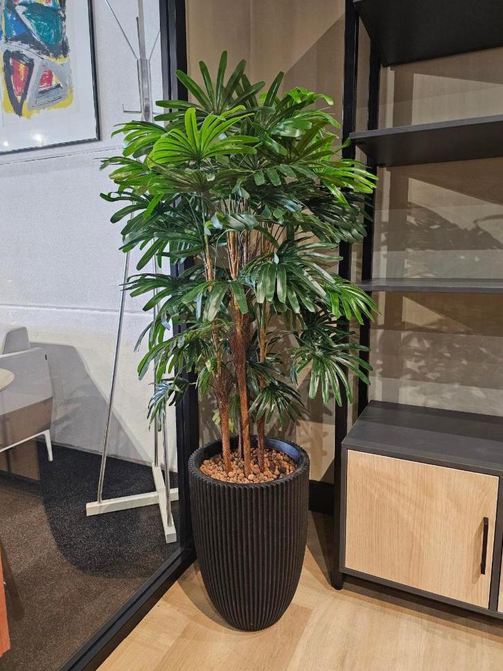 Fortuneipalm kunstplant, H160cm, Huis en Inrichting, Kamerplanten, Ophalen of Verzenden