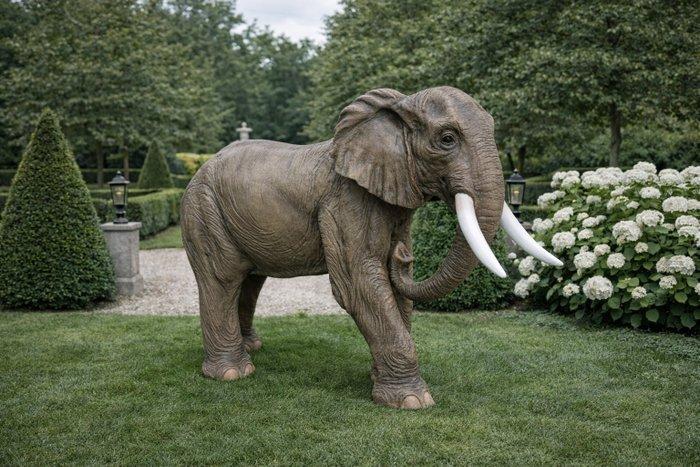 Beeld, XL Elephant - 145cm - 93.5 cm - Hars - 2026, Antiek en Kunst, Curiosa en Brocante