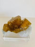 Bariet Kristallen op matrix - Hoogte: 8.5 cm - Breedte: 4.5, Verzamelen, Mineralen en Fossielen