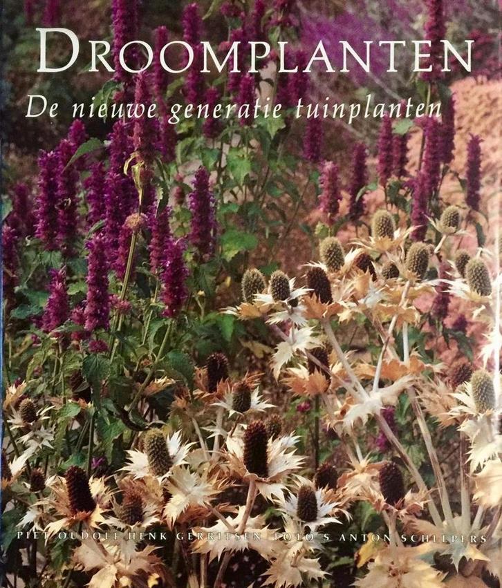 (ZIE 9062554849)DROOMPLANTEN 9789062554119 Oudolf, Boeken, Hobby en Vrije tijd, Gelezen, Verzenden