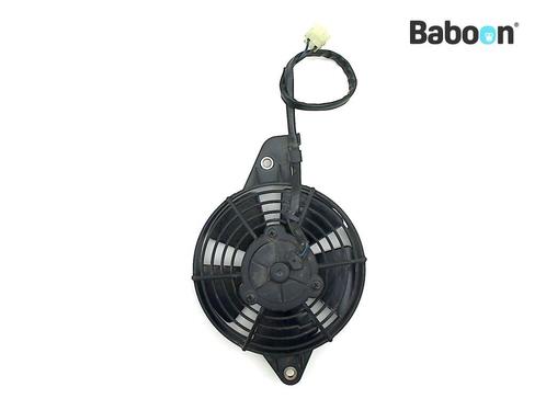 Koelfan Motor Honda FES 125 Pantheon 2003-2006 (FES125), Motoren, Onderdelen | Honda, Gebruikt, Verzenden