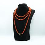 Halsketting - 14 karaat Geel goud Bloedkoraal, Sieraden, Tassen en Uiterlijk, Kettingen, Nieuw