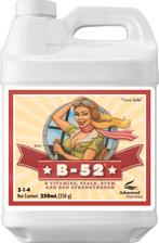 Advanced Nutrients B-52 250 ml, Tuin en Terras, Ophalen of Verzenden, Nieuw