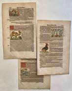 Sebastian Münster - Cosmographia - 1590, Antiek en Kunst