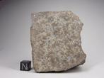 NWA 12544 - Hoofdmasse -L4 Meteoriet - 665 g, Verzamelen, Mineralen en Fossielen