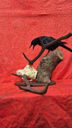 Corneille noire - Cerf élaphe Taxidermie wandmontage -, Nieuw