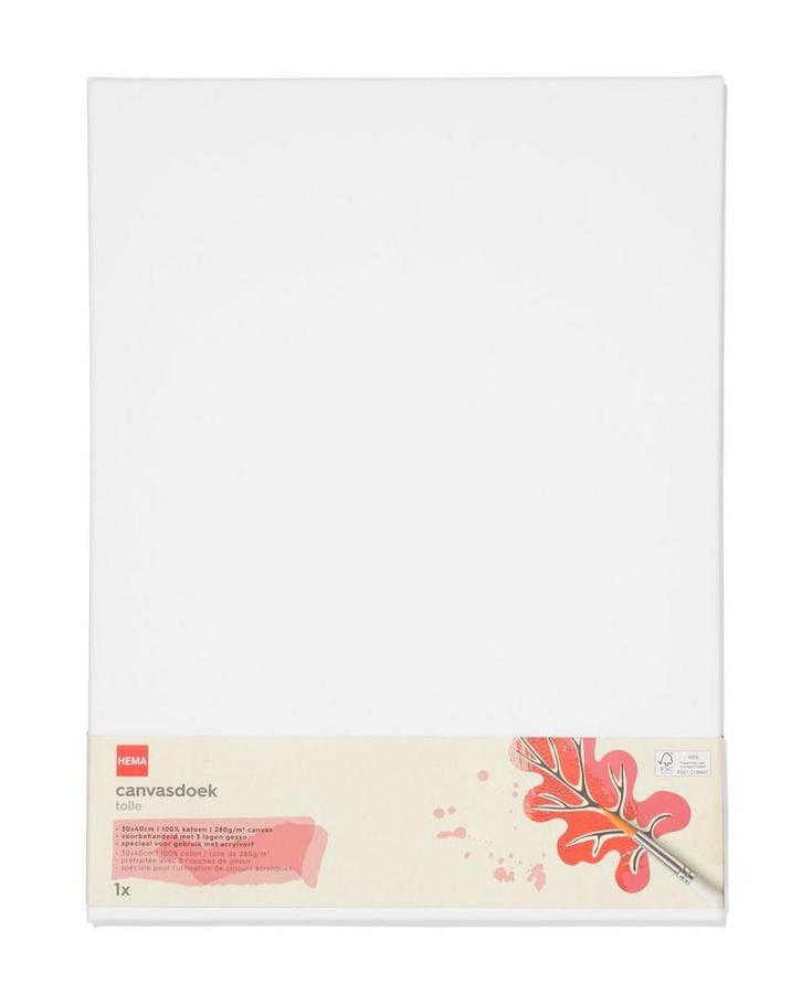 HEMA Canvasdoek 30x40, Hobby en Vrije tijd, Schilderen, Nieuw, Verzenden